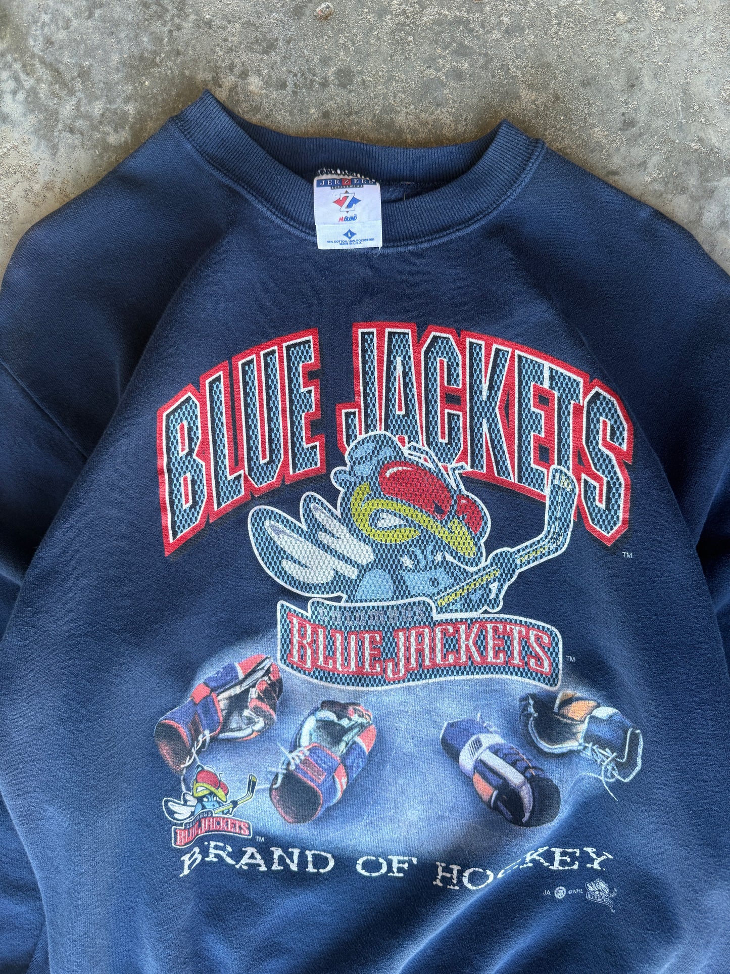 2000 Columbus Blue Jackets Vintage NHL Sweatshirt (M)