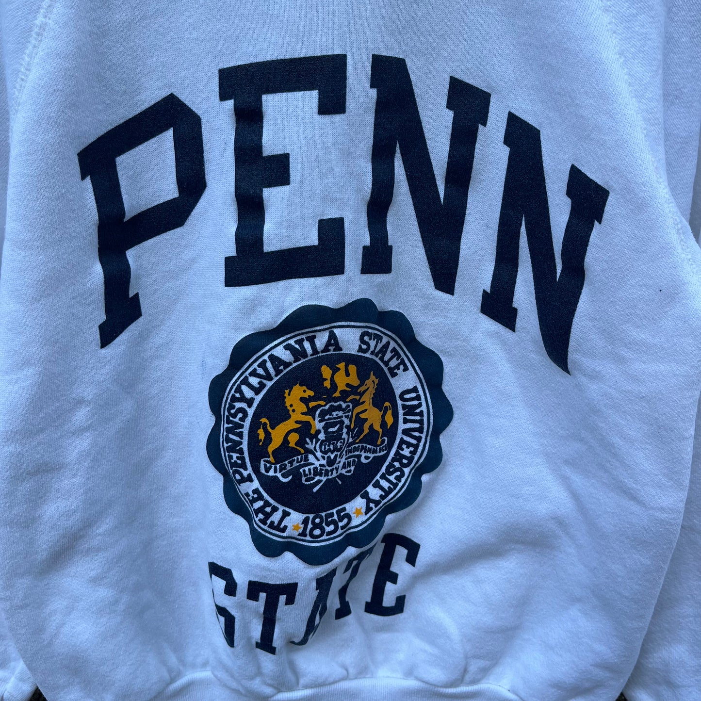 80's Penn State University Sweatshirt (M)