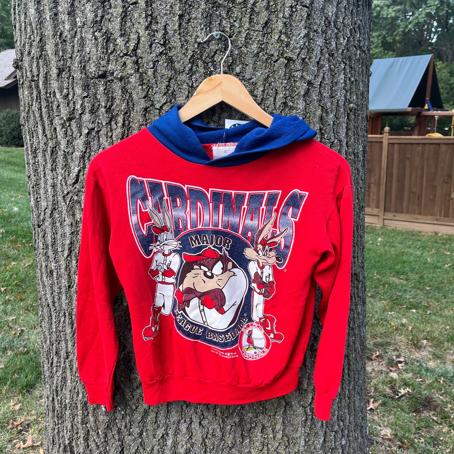 1994 Saint Louis Cardinals Taz Hoodie (Kids)