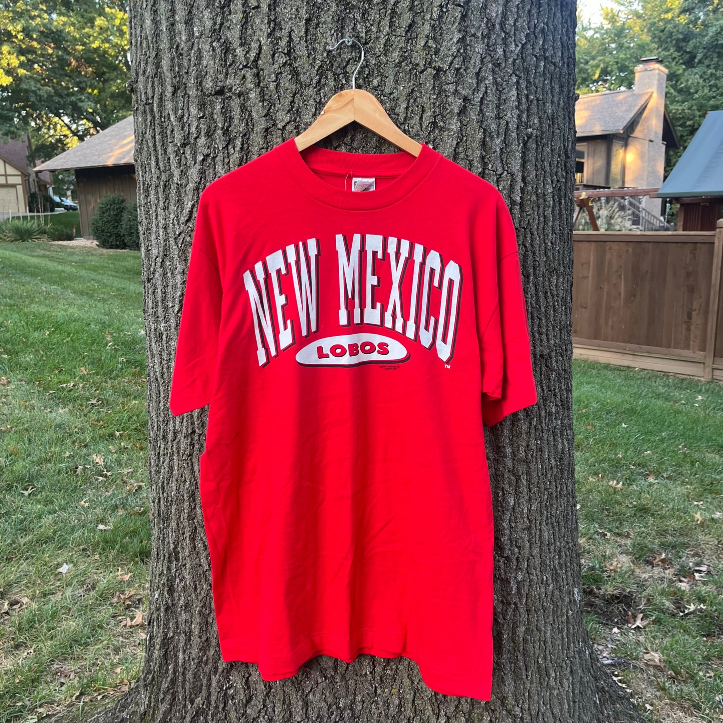 90's New Mexico Lobo's University (XL)