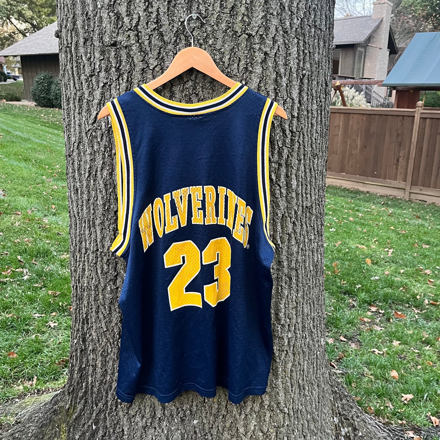 90's Michigan Wolverines 23 Jersey (XL)