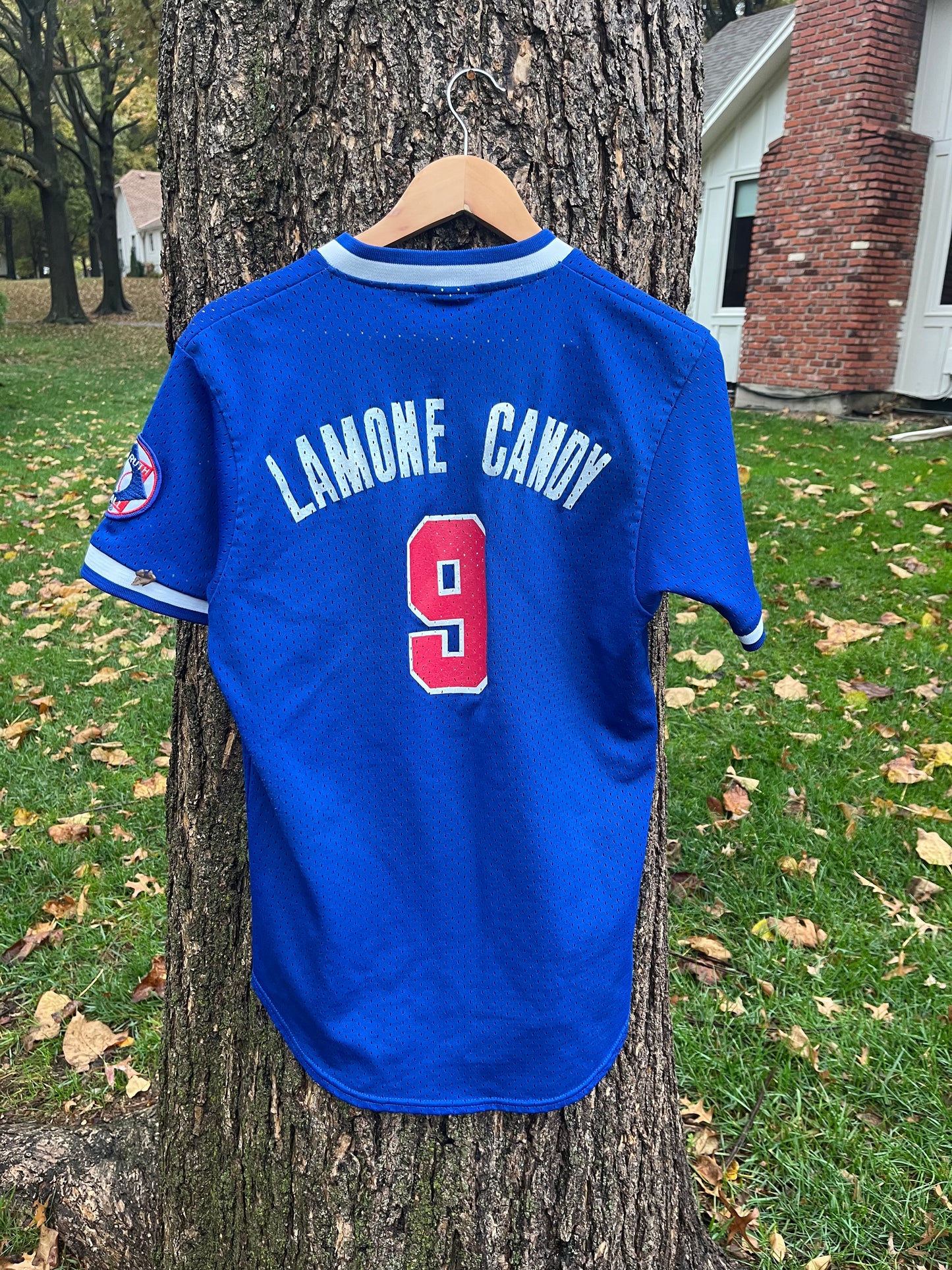 90's Chicago Cubs Jersey (M)