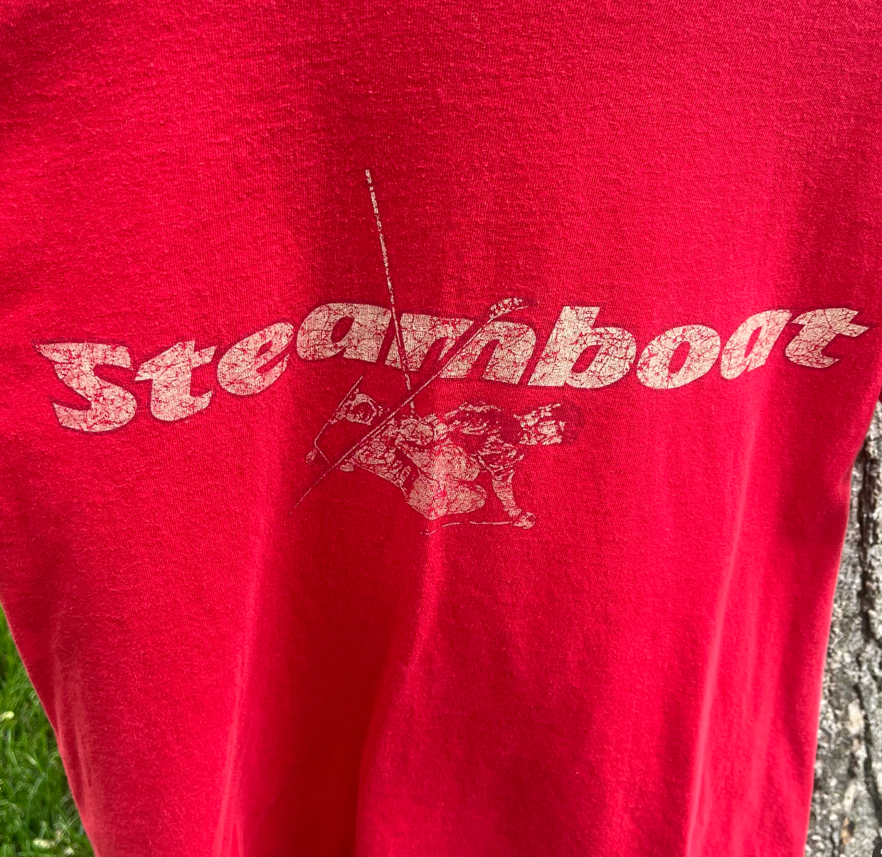 90's Steamboat Colorado Skiing T-shirt (M)