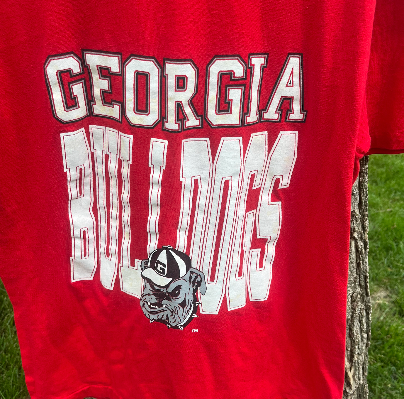 90's Georgia Bulldogs t-shirt (L)